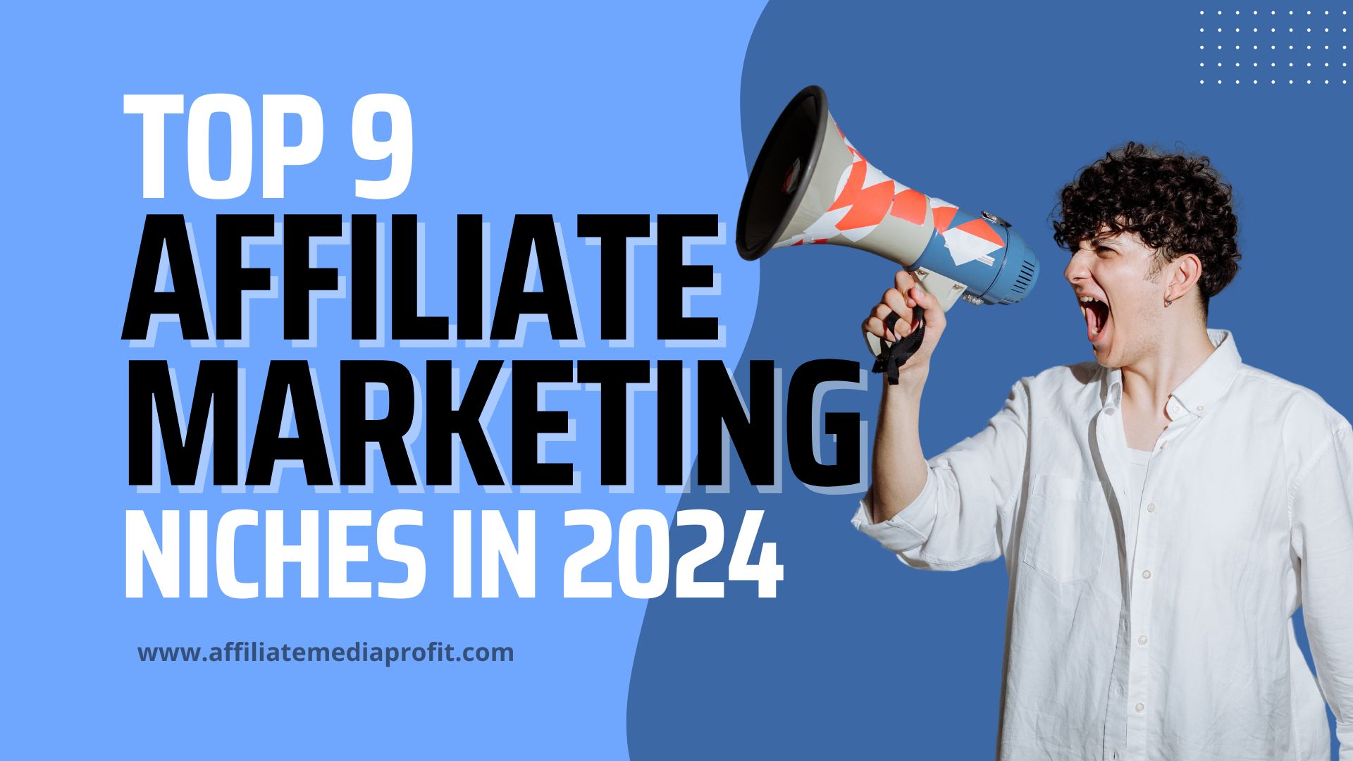 Top 9 Affiliate Marketing Niches in 2024