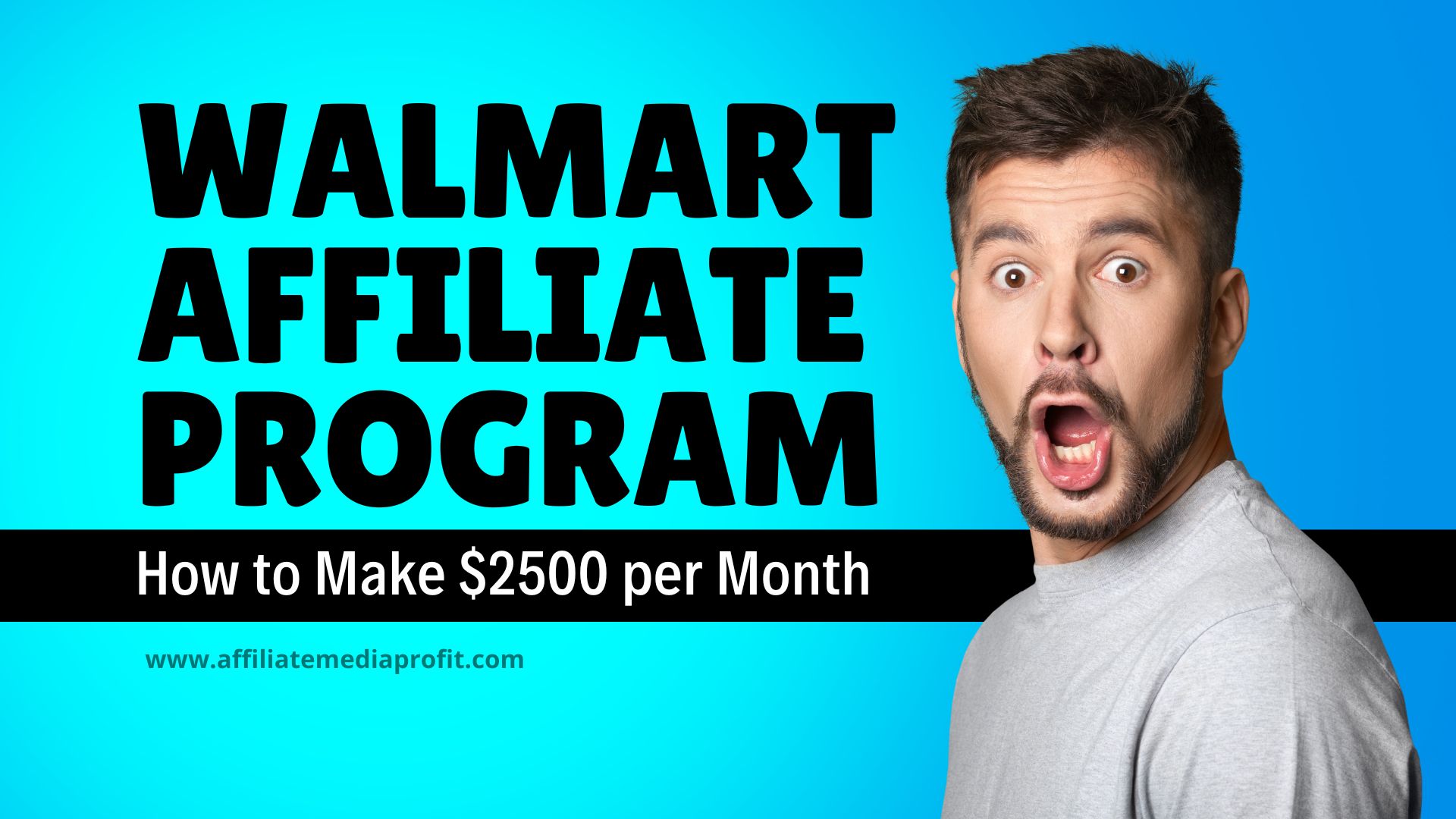 Walmart Affiliate Program - How to Make $2500 per Month